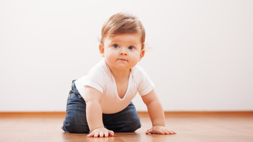 【2026年最新】東海のハイハイレース開催情報まとめ（愛知・岐阜・三重・静岡）｜愛知・東海でハイハイレースを探す前に知っておきたいこと