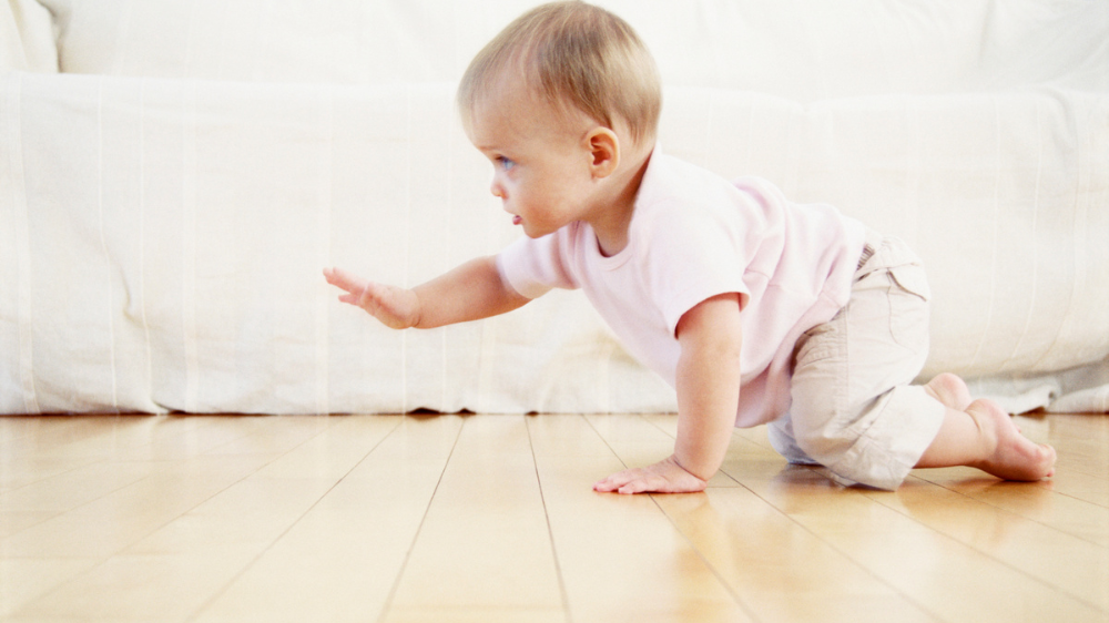 【2026年最新】関東のハイハイレース開催情報まとめ（東京・神奈川・埼玉・千葉）｜関東のハイハイレース、探すときに知っておきたいこと