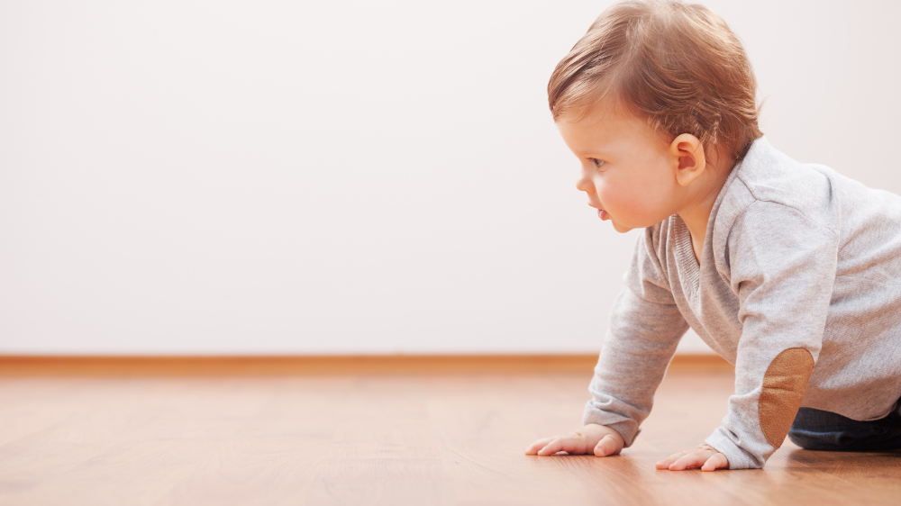 【2026年最新】関西のハイハイレース開催情報まとめ（大阪・京都・兵庫・滋賀・奈良）｜関西のハイハイレースを探すときのポイント