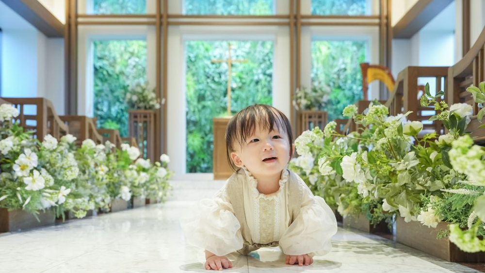 【2026年最新】東海のハイハイレース開催情報まとめ（愛知・岐阜・三重・静岡）｜まとめ