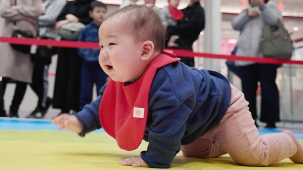 【2026年最新】九州のハイハイレース開催情報まとめ（福岡・佐賀・熊本・鹿児島・長崎）｜アカチャンホンポ