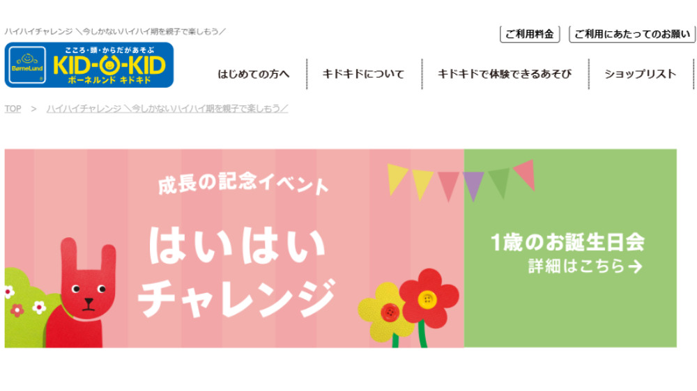 【2026年最新】東海のハイハイレース開催情報まとめ（愛知・岐阜・三重・静岡）｜キドキド