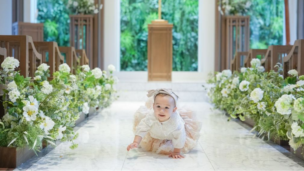 【2026年最新】九州のハイハイレース開催情報まとめ（福岡・佐賀・熊本・鹿児島・長崎）｜FunFenFant