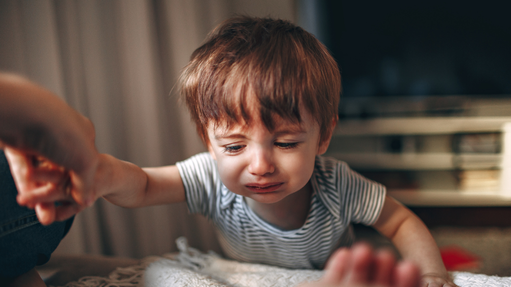 【保存版】ボックスフォトのやり方完全ガイド：作り方・撮り方・失敗しないコツ｜ボックスフォトでよくある失敗とリアルな声