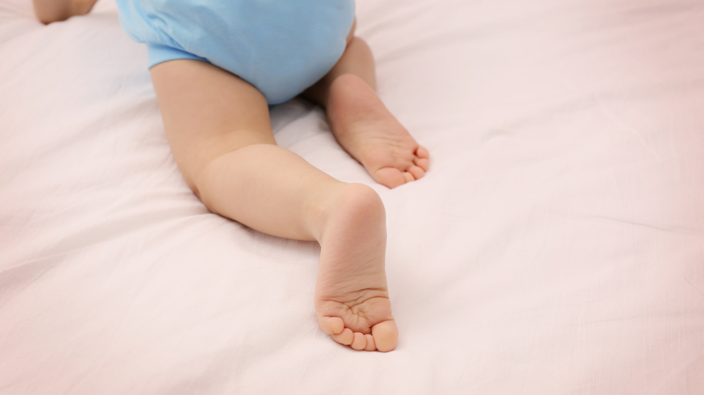 【2026年最新】関西のハイハイレース開催情報まとめ（大阪・京都・兵庫・滋賀・奈良）｜初めてのハイハイレースでよくある疑問